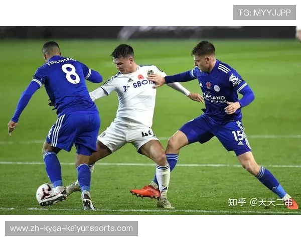 FM2018游戏中适合保级队引进的英超球员推荐 FM2018游戏中适合保级队引进的英超球员推荐